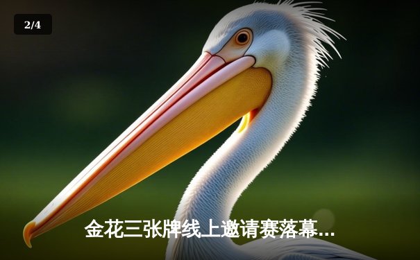 金花三张牌线上邀请赛落幕，刘昊然逆袭夺冠 - 2